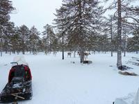 стойбище стойбище