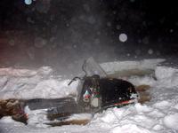 в полынье в полынье