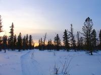 буранка буранка