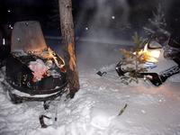 неожиданно на пути появилось дерево неожиданно на пути появилось дерево