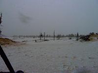 первый снег первый снег