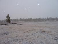 началась зима началась зима