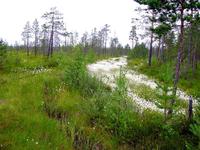 за поворотом за поворотом