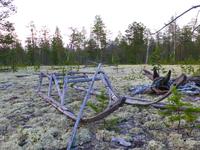 нарты нарты