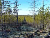 профиль , у нас такого полно профиль , у нас такого полно