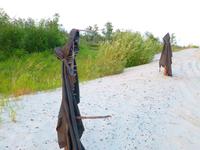 для отпугивания не званных гостей для отпугивания не званных гостей