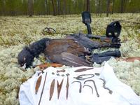 поохотился и покопал поохотился и покопал