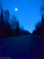 Ночная дорога